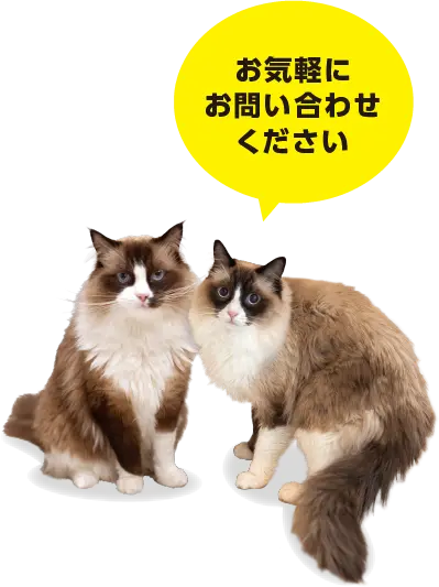 お気軽にお問い合わせください